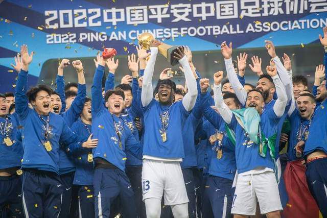 久久久久久精品国产三级