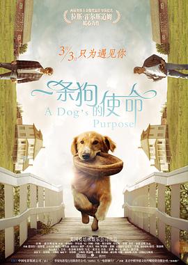 亚洲日本高清成人aⅴ片