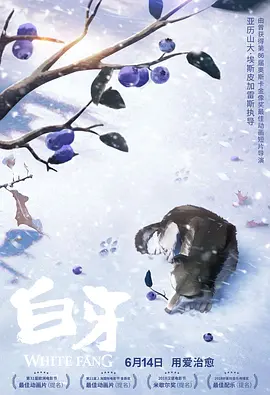 午夜视频在线观看免费观看在线观看