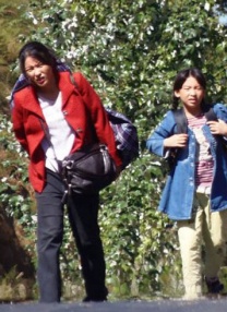 伊人蕉