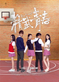 我妻子的传奇