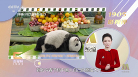 在线观看老湿视频福利